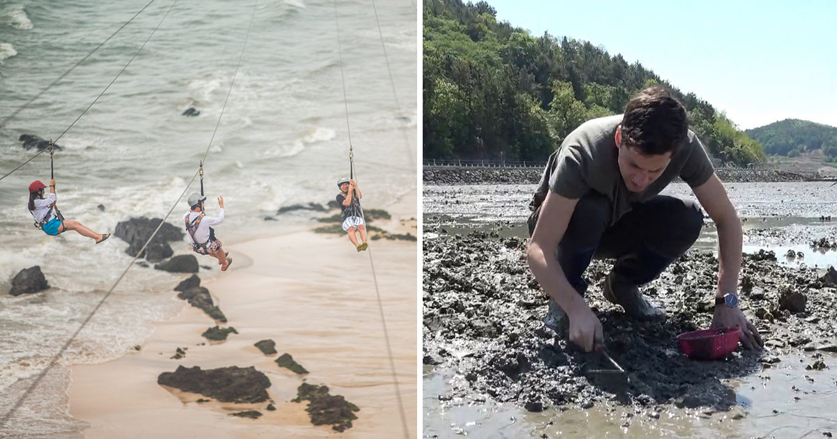 Boryeong 1 Day Tour from Seoul Trazy, Korea's 1 Travel Shop